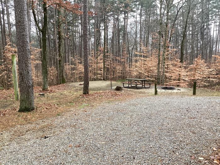 A photo of Site 17 of Loop German Ridge Campground at German Ridge Campground  with Picnic Table, Fire Pit, Shade, Tent Pad, Lantern Pole, and Hitching Post.