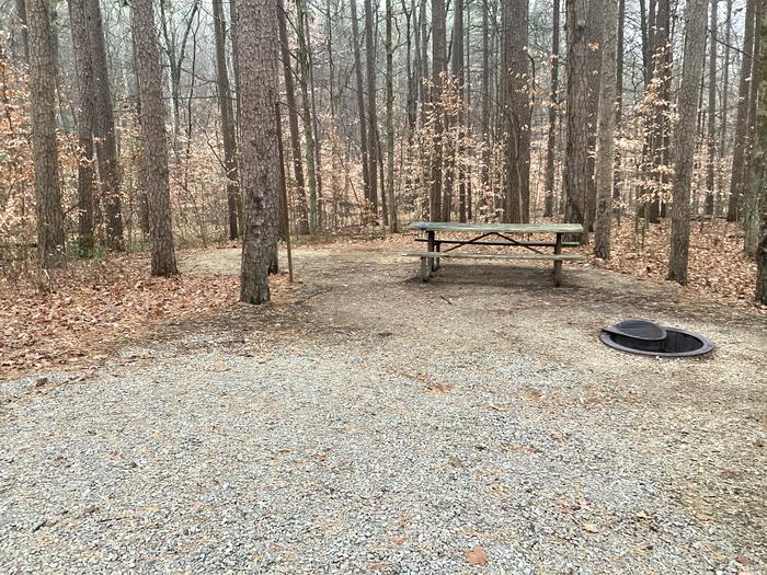 A photo of Site 19 of Loop German Ridge Campground at German Ridge Campground  with Picnic Table, Fire Pit, Shade, Tent Pad, Lantern Pole, and Hitching Post.