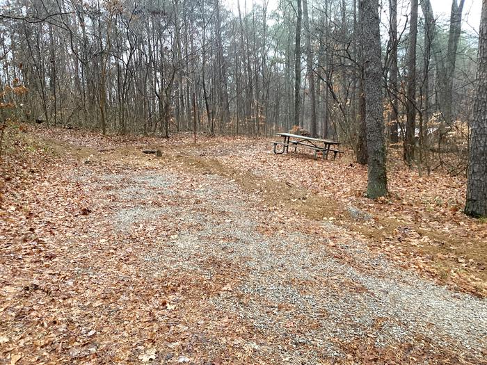 A photo of Site 9 of Loop German Ridge Campground at German Ridge Campground  with Picnic Table, Fire Pit, Shade, Tent Pad, Lantern Pole, and Hitching Post.