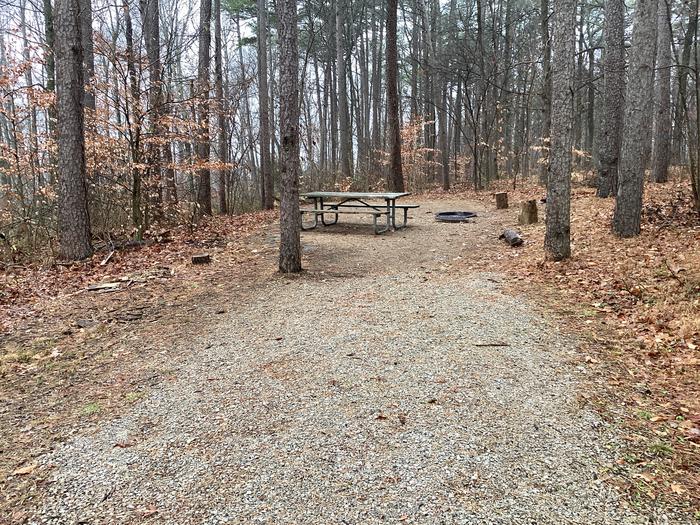 A photo of Site 10 of Loop German Ridge Campground at German Ridge Campground  with Picnic Table, Fire Pit, Shade, Tent Pad, Lantern Pole, and Hitching Post.