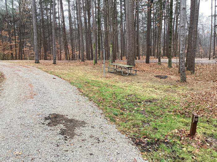 A photo of Site 12 of Loop German Ridge Campground at German Ridge Campground  with Picnic Table, Fire Pit, Shade, Lantern Pole, Hitching Post, and Pull-through Parking.