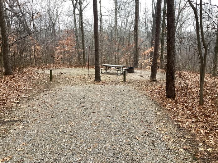 A photo of Site 11 of Loop German Ridge Campground at German Ridge Campground  with Picnic Table, Fire Pit, Shade, Tent Pad, Lantern Pole, and Hitching Post.