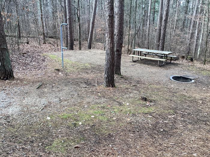 A photo of Site 4 at Saddle Lake Campground with Picnic Table, Fire Pit, Shade, Tent Pad, Lantern Pole