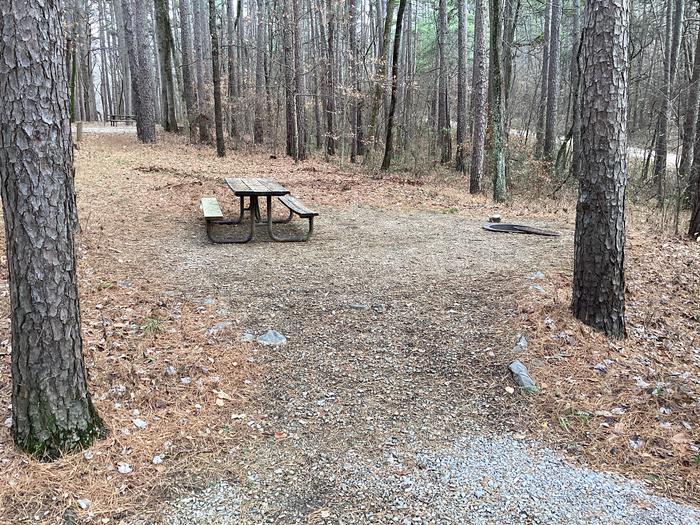 A photo of Site 9 at Saddle Lake Campground with Picnic Table, Fire Pit, Shade, Tent Pad, Lantern Pole