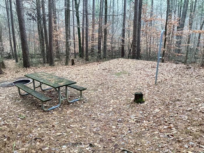 A photo of Site 12 (a walk in site) at Saddle Lake Campground with Picnic Table, Fire Pit, Shade, Tent Pad, Lantern Pole.