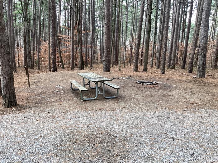 A photo of Site 8 at Saddle Lake Campground with Picnic Table, Fire Pit, Shade, Tent Pad, Lantern Pole