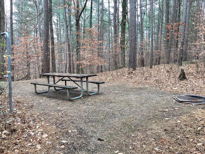 A photo of Site 11 (a walk in site) at Saddle Lake Campground with Picnic Table, Fire Pit, Shade, Tent Pad, Lantern Pole