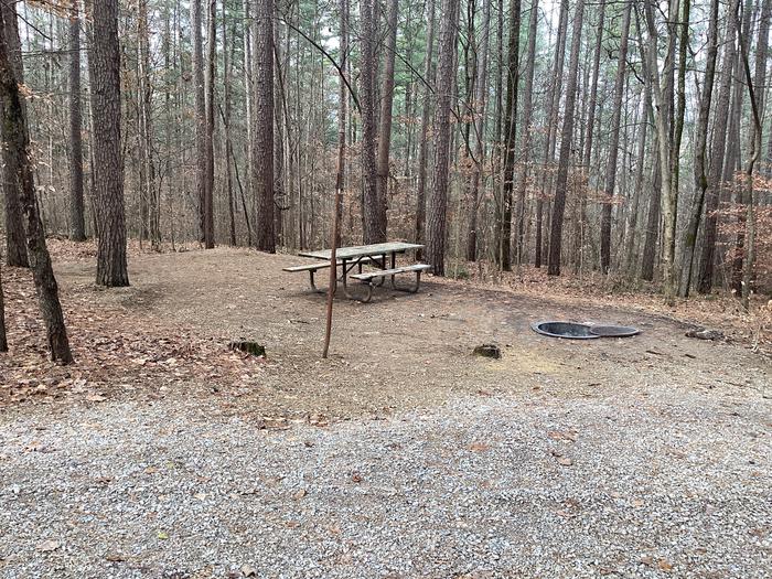 A photo of Site 3 at Saddle Lake Campground with Picnic Table, Fire Pit, Shade, Tent Pad, Lantern Pole