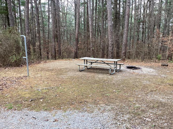 A photo of Site 6 at Saddle Lake Campground with Picnic Table, Fire Pit, Shade, Tent Pad, Lantern Pole