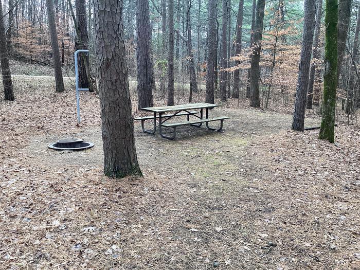 A photo of Site 1 at Saddle Lake Campground with Picnic Table, Fire Pit, Shade, Tent Pad, Lantern Pole
