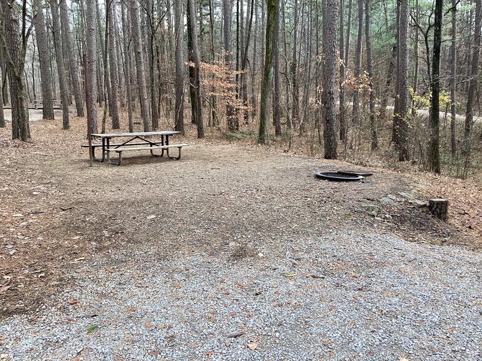 A photo of Site 7 at Saddle Lake Campground with Picnic Table, Fire Pit, Shade, Tent Pad, Lantern Pole