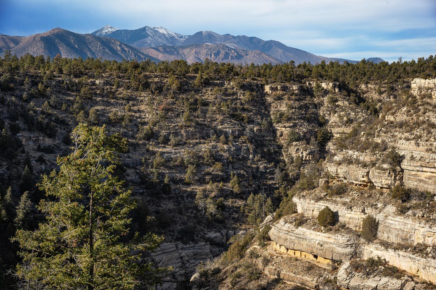 Preview photo of Walnut Canyon National Monument