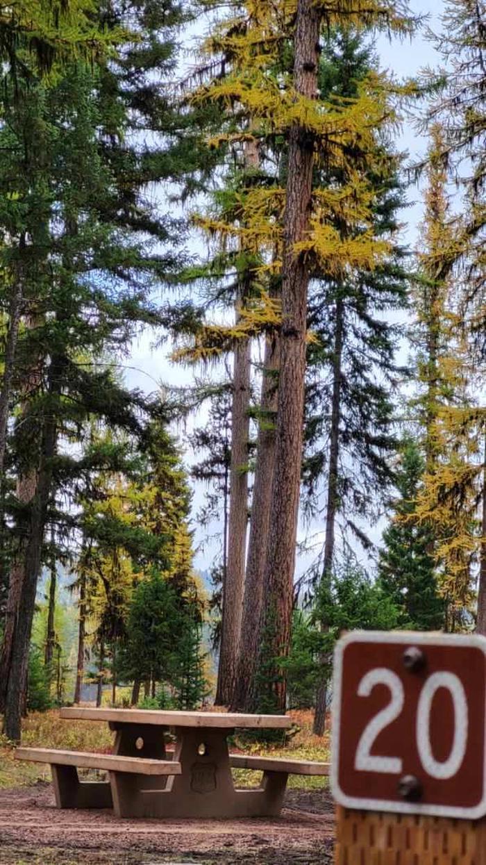 A photo of Site SLS20 in Loop 2 at Seeley Lake Lolo Campground (MT) with campsite marker, picnic table, a tall Western Larch tree.