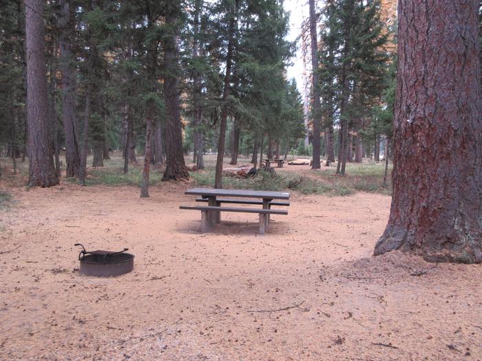 A photo of Site SLS26 in Loop 2 at Seeley Lake Lolo Campground (MT) with picnic table, campfire ring. 