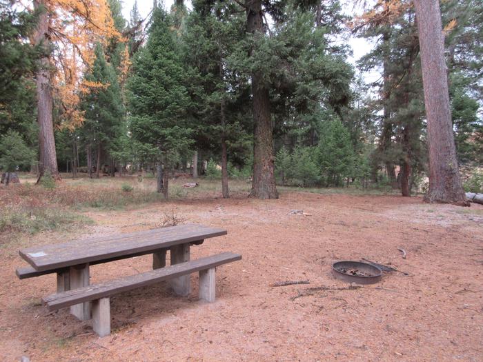 A photo of Site SLS27 in Loop 3 at Seeley Lake Lolo Campground (MT) with picnic table, campfire ring.