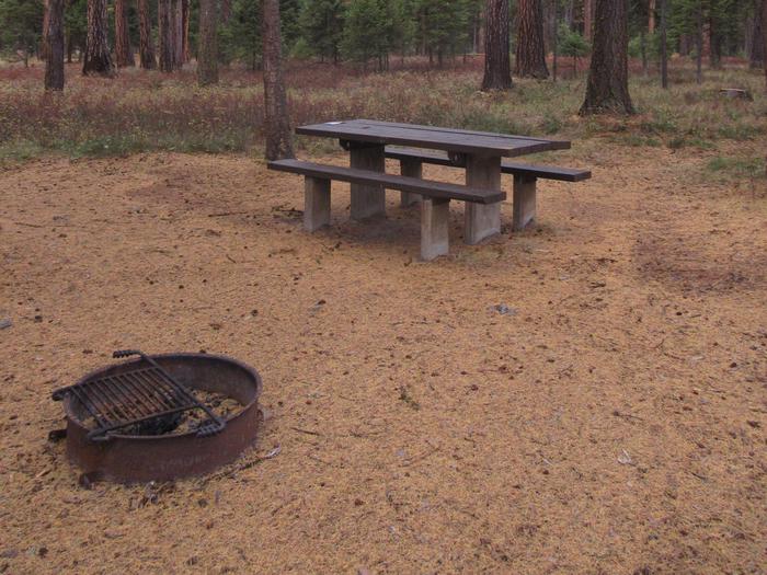 A photo of Site SLS29 in Loop 3 at Seeley Lake Lolo Campground (MT) with picnic table, campfire ring.