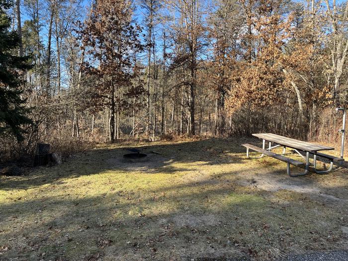 A photo of Site 2 of Loop Wagner Lake at Wagner Lake (MI) with Picnic Table, Fire Pit, Lantern Pole