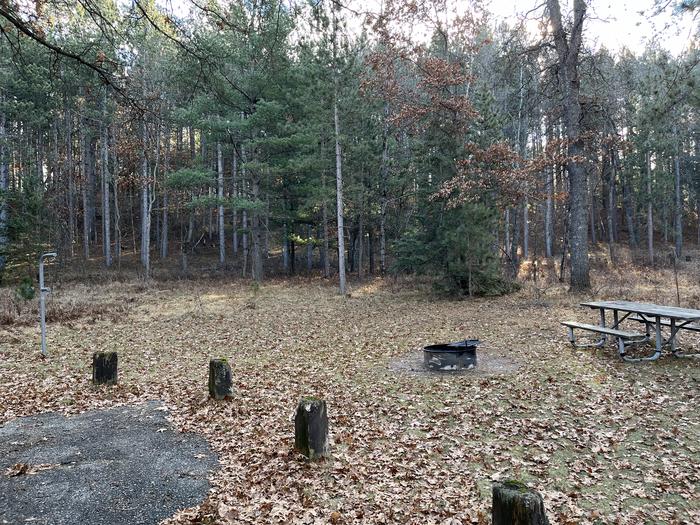 A photo of Site 1 of Loop Wagner Lake at Wagner Lake (MI) with Picnic Table, Fire Pit, Lantern Pole