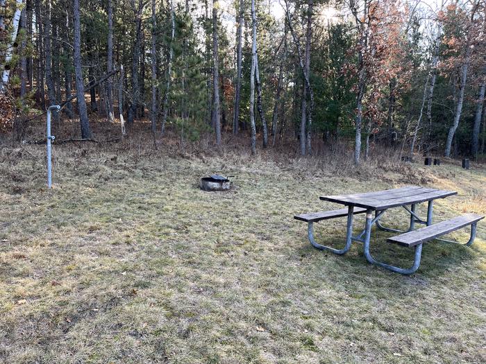 A photo of Site 4 of Loop Wagner Lake at Wagner Lake (MI) with Picnic Table, Fire Pit, Lantern Pole