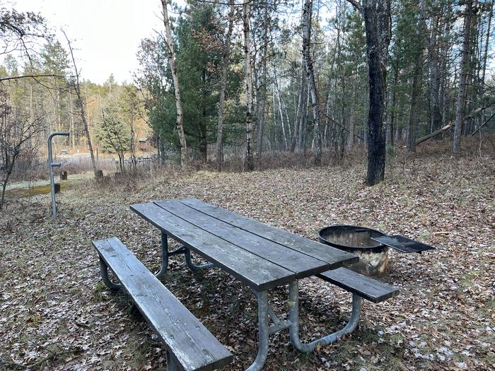A photo of Site 6 of Loop Wagner Lake at Wagner Lake (MI) with Picnic Table, Fire Pit, Lantern Pole