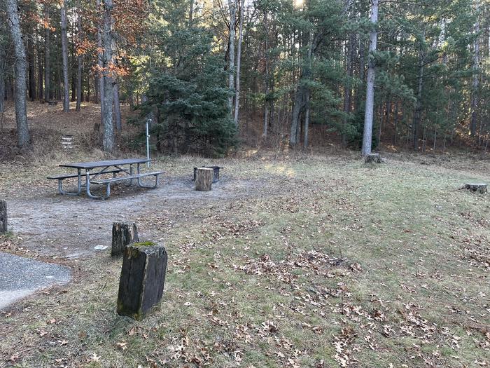A photo of Site 8 of Loop Wagner Lake at Wagner Lake (MI) with Picnic Table, Fire Pit, Lantern Pole