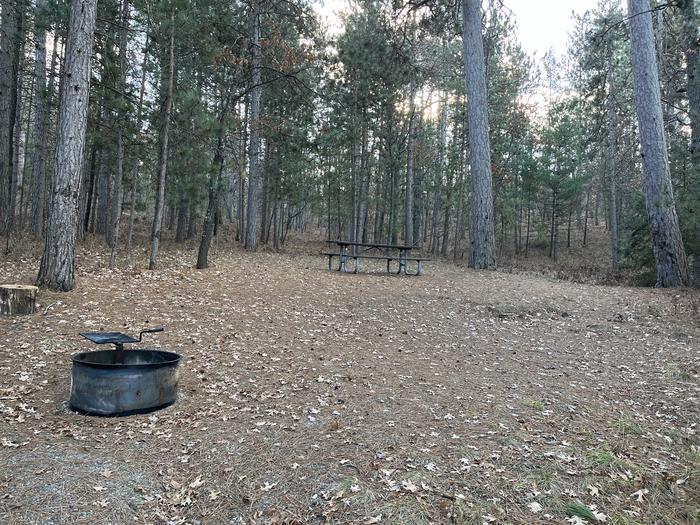 A photo of Site 9 of Loop Wagner Lake at Wagner Lake (MI) with Picnic Table, Fire Pit