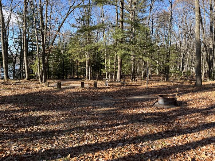 A photo of Site 3 of Loop Island Lake at Island lake (MI) with Picnic Table, Fire Pit, Lantern Pole