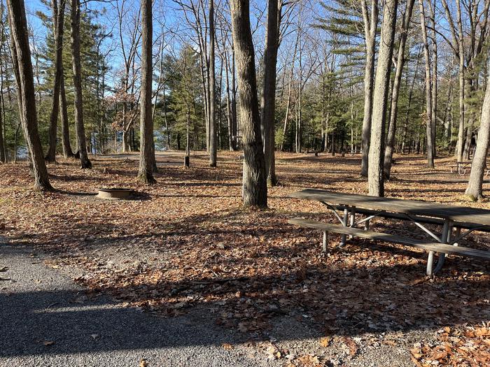 A photo of Site 1 of Loop Island Lake at Island lake (MI) with Picnic Table, Fire Pit