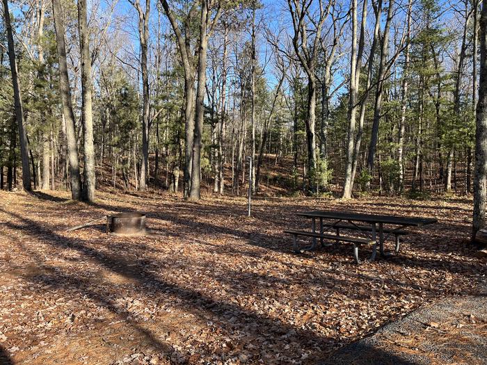 A photo of Site 4 of Loop Island Lake at Island lake (MI) with Picnic Table, Fire Pit, Lantern Pole