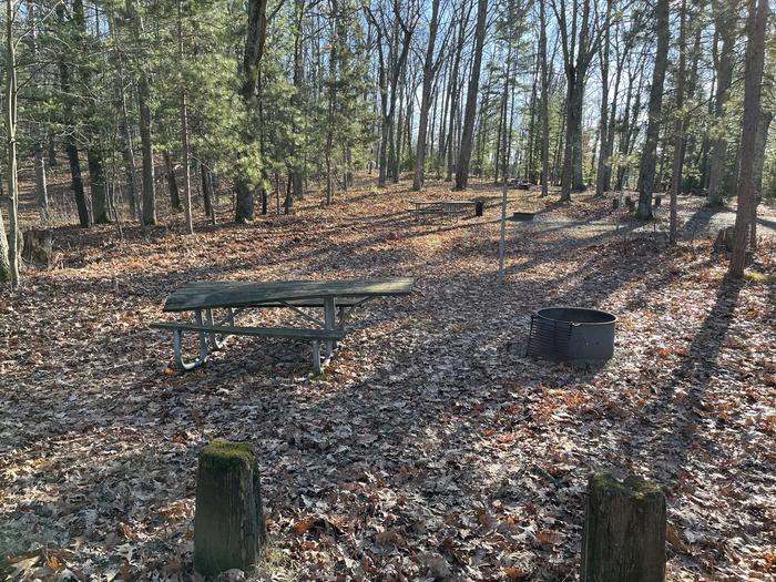 A photo of Site 6 of Loop Island Lake at Island lake (MI) with Picnic Table, Fire Pit, Lantern Pole