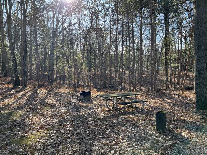 A photo of Site 9 of Loop Island Lake at Island lake (MI) with Picnic Table, Fire Pit