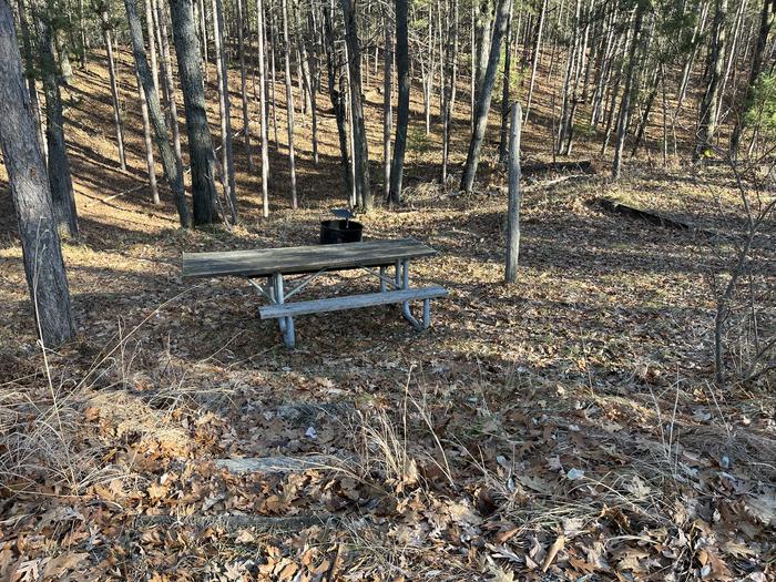 A photo of Site 10 of Loop Island Lake at Island lake (MI) with Picnic Table, Fire Pit