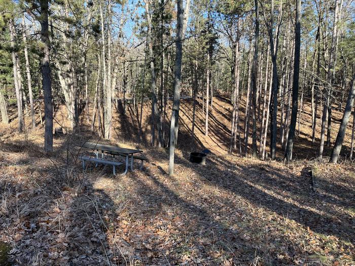 A photo of Site 10 of Loop Island Lake at Island lake (MI) with Picnic Table, Fire Pit
