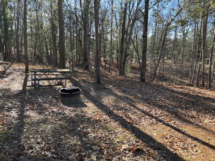 A photo of Site 11 of Loop Island Lake at Island lake (MI) with Picnic Table, Fire Pit