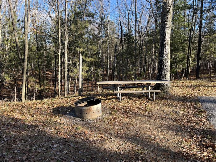 A photo of Site 14 of Loop Island Lake at Island lake (MI) with Picnic Table, Fire Pit