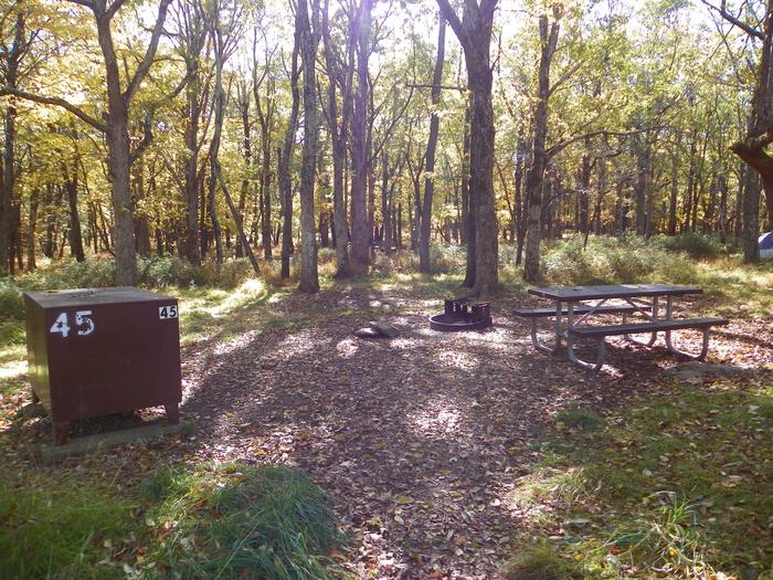 Site 45Tent only sites have a tent pad, picnic table, fire pit, and food storage box. 
