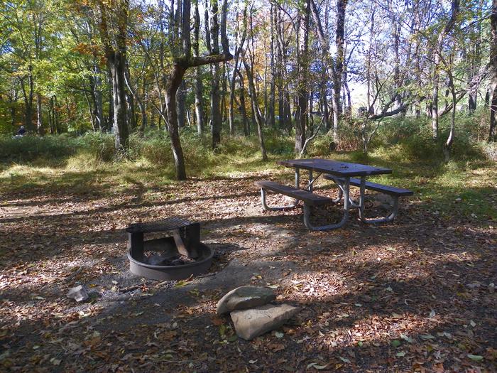 Campsite 45Tent only sites have a tent pad, picnic table, fire pit, and food storage box. 