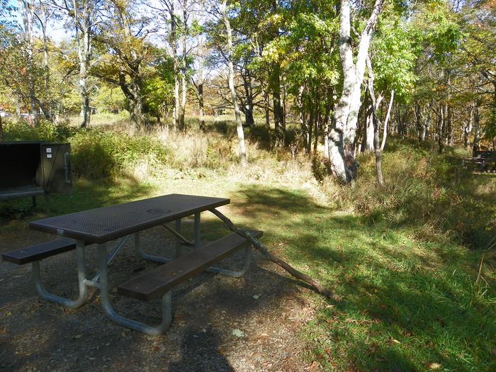 Campsite 47Tent only sites have a tent pad, picnic table, fire pit, and food storage box. 