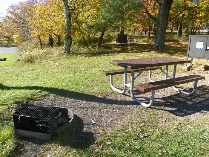 Campsite A58; close to office and campground host siteSite has a driveway, tent pad, picnic table, fire pit, and food storage box. 
