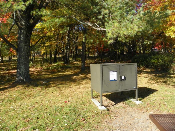 A58Site has a driveway, tent pad, picnic table, fire pit, and food storage box. 