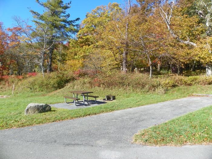 A59Site has a driveway, tent pad, picnic table, and fire pit. 