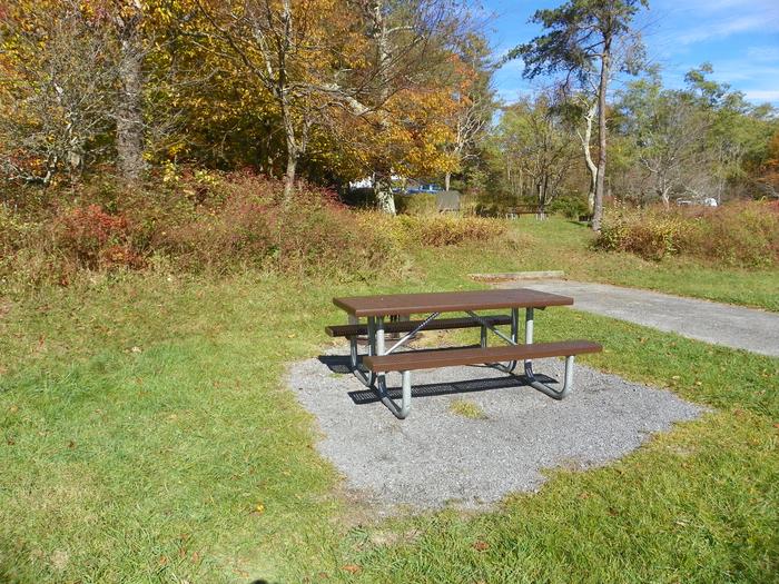 Site A59Site has a driveway, tent pad, picnic table, and fire pit. 