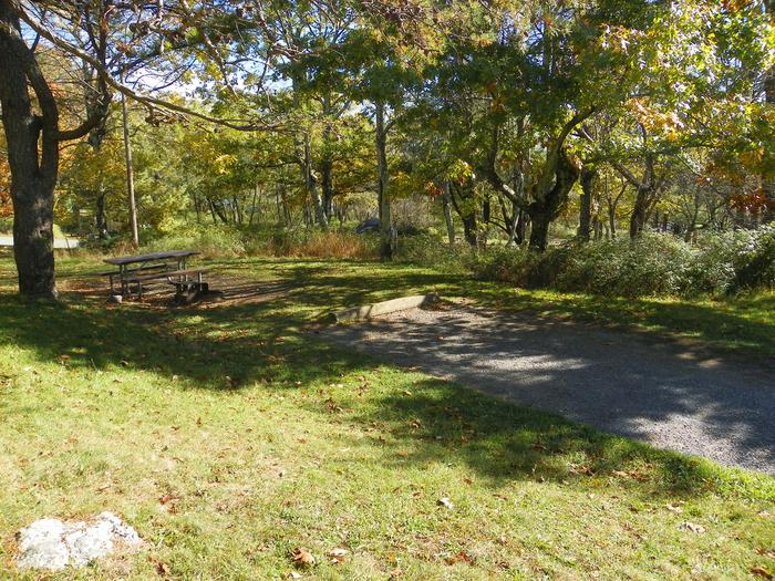 Site A60Site has a driveway, tent pad, picnic table, and fire pit. 