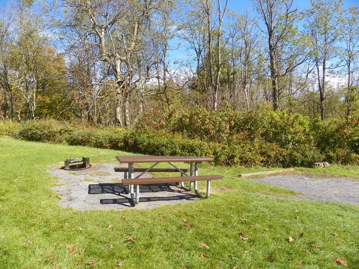 Site A62Site has a driveway, tent pad, picnic table, and fire pit. 