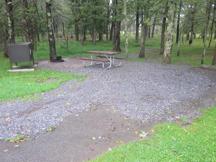 Campsite A67Site has a driveway, tent pad, picnic table, fire pit, and food storage box. 