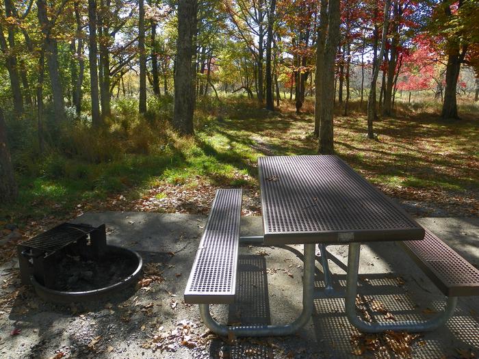 A67 table and fire pitSite has a driveway, tent pad, picnic table, fire pit, and food storage box. 