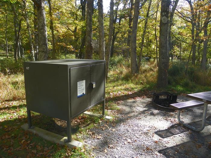 A67 storage boxSite has a driveway, tent pad, picnic table, fire pit, and food storage box. 
