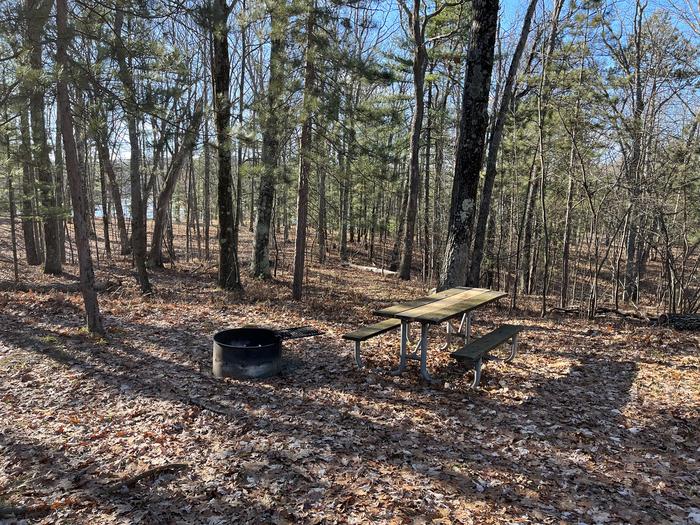 A photo of Site 15 of Loop Island Lake at Island lake (MI) with Picnic Table, Fire Pit