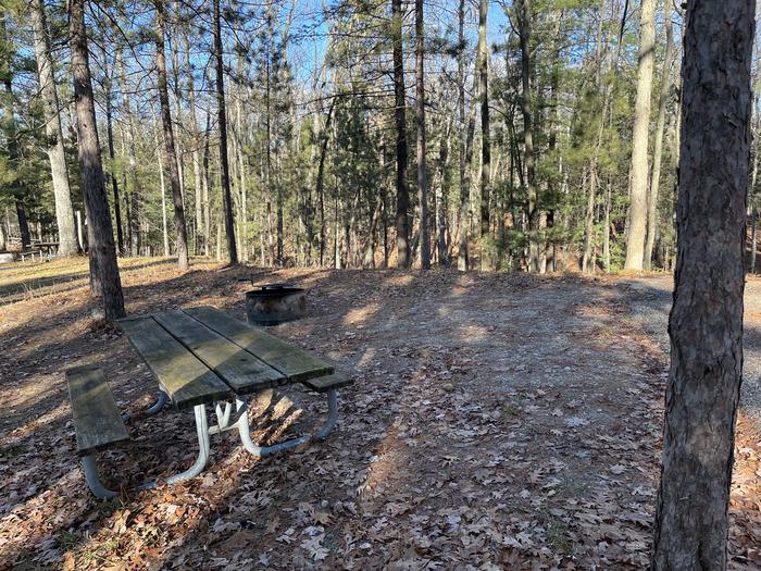 A photo of Site 16 of Loop Island Lake at Island lake (MI) with Picnic Table, Fire Pit