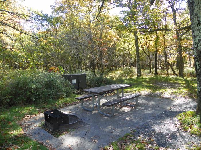 A69Site has a driveway, tent pad, picnic table, fire pit, and food storage box. 
